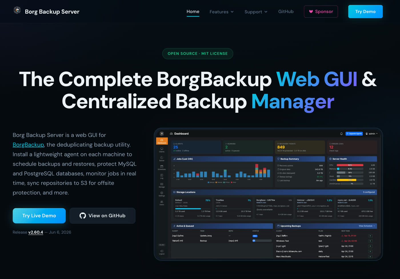 Borg Backup Server